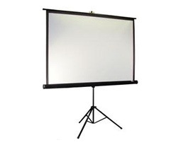 Projection Screen Rental