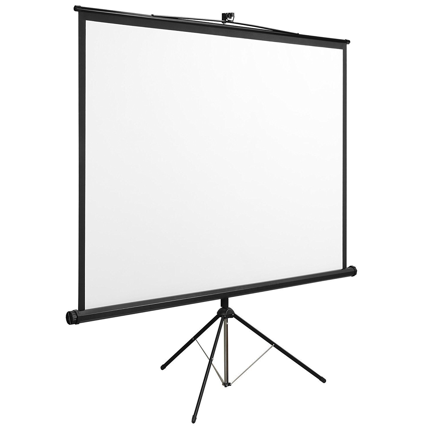 Extra small Projection Screen Rental